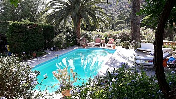 Thumbnail of lavandouJuillet2017_10.jpg